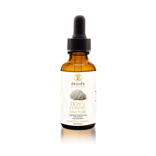 Lion's Mane Tincture