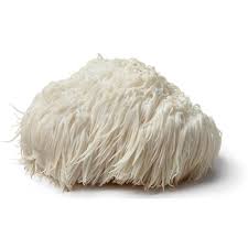 lions mane health benefits